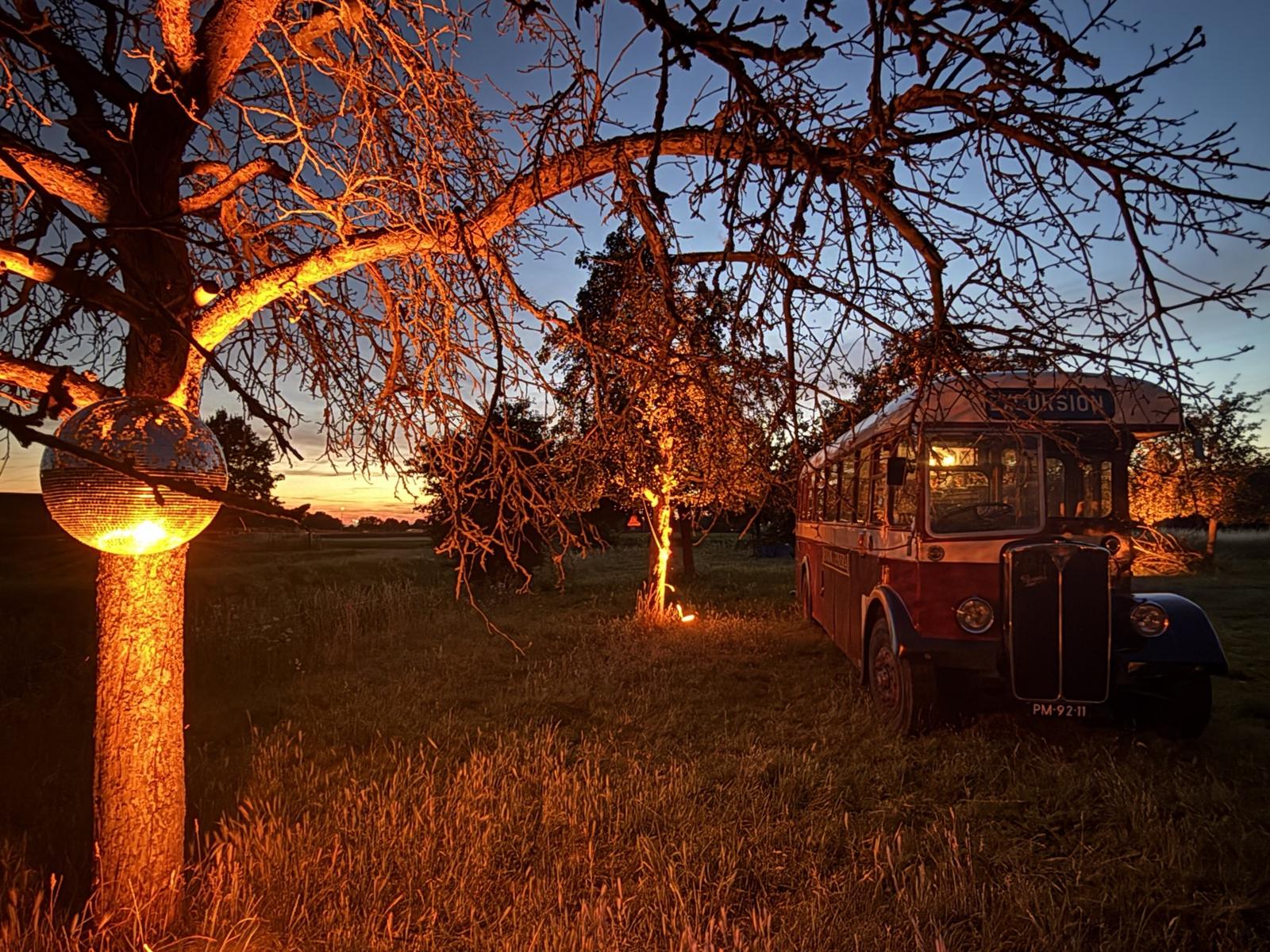 De bus in de avond tussen verlichte fruitbomen